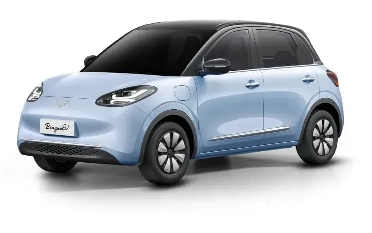 Wuling Binguo